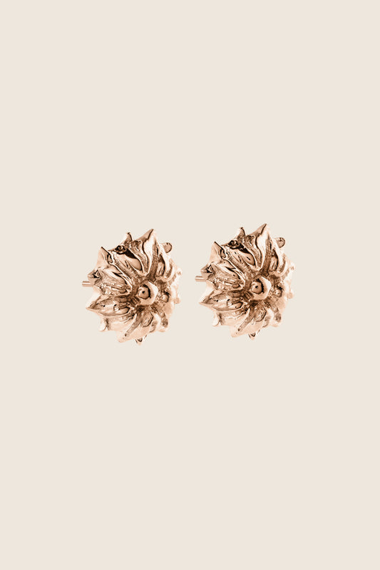 BELLIS rose earrings