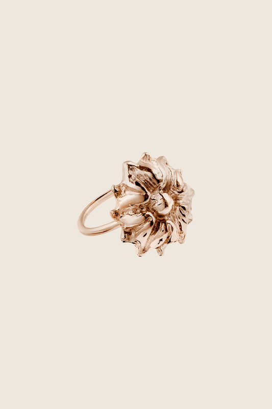 BELLIS rose ring